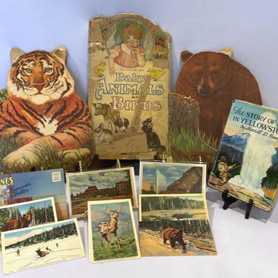 Vintage Yellowstone Post Cards/Book& Series Of Mother & Baby Animal Books