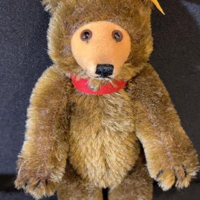 Steiff Baby Bear - 6in