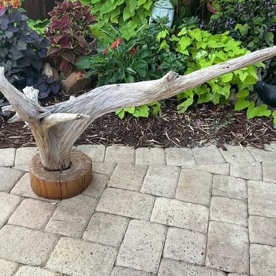 Large Driftwood Sculpture Mounted To Wood Base