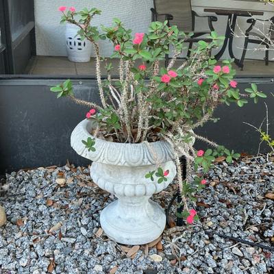 Concrete Pedestal Planter W Mr.Spikey 