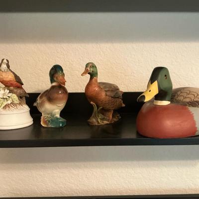Ducks And A Robin