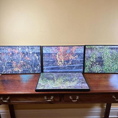 (4pc) Unknown Artist, Photography - Plants | Close-up photography of plants along a railroad track, possibly the High Line in NYC....