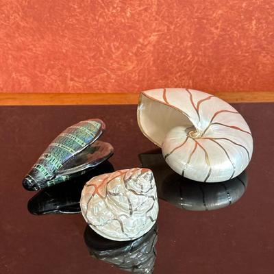 (3pc) Decorative Seashells | Collection of decorative painted seashells.
