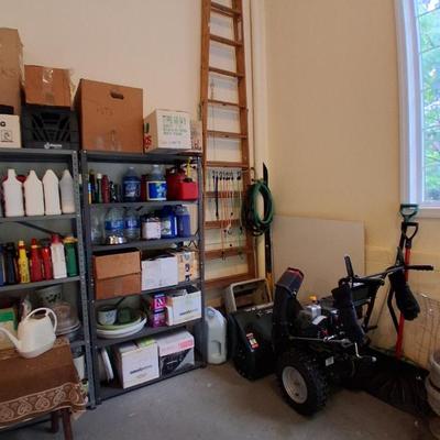 10 foot ladder, chemicals, snow thrower, various pots, planters, etc.