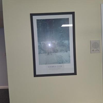 framed posters