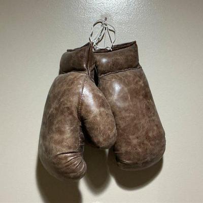 Boxing Gloves