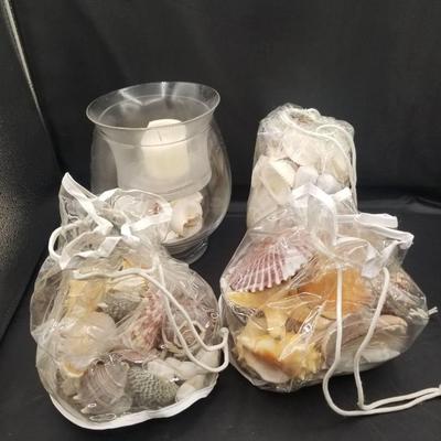 (MDR3085) Lots Of Seashells 