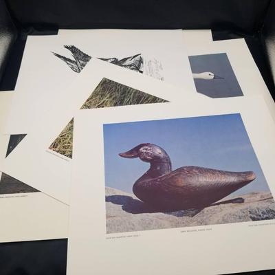 (MDR4033) Vintage Duck Decoy And Waterfowl Prints Includes 2 Copies Of Fletcher Bryant Drawings
