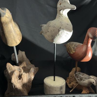 (S131) Bird Lot