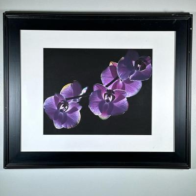 ORCHID PHOTOGRAPH | Purple orchid. Framed Photograph. 15.5 x 19.5 in. Sight - h. 27.75 x w. 33.75 x d. 1.5 in (frame)
