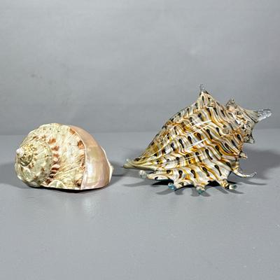 (2pc) DECORATIVE SHELLS | Including: colorful glass conch shell, and other carved shell - h. 4 x w. 5.5 x l. 6.5 in
