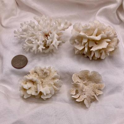 Sale Photo Thumbnail #154