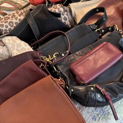 Sale Photo Thumbnail #151
