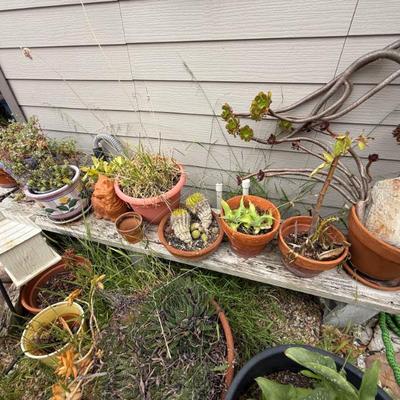 Sale Photo Thumbnail #61