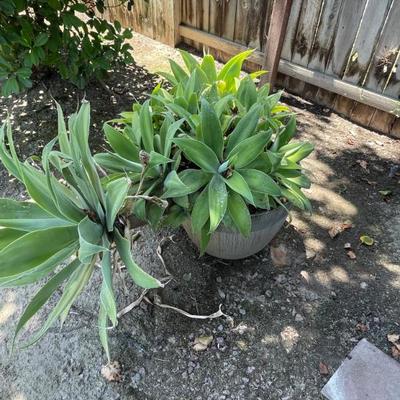 Sale Photo Thumbnail #136