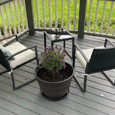 Sale Photo Thumbnail #34