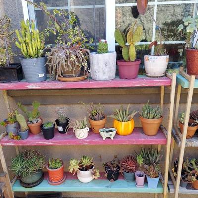 Sale Photo Thumbnail #4