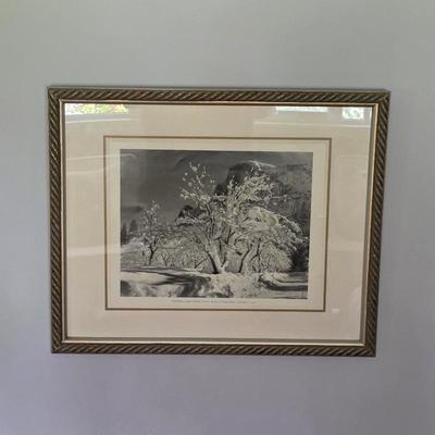 Sale Photo Thumbnail #165