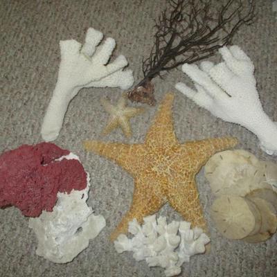 Sale Photo Thumbnail #127