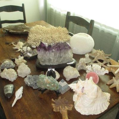 Sale Photo Thumbnail #161