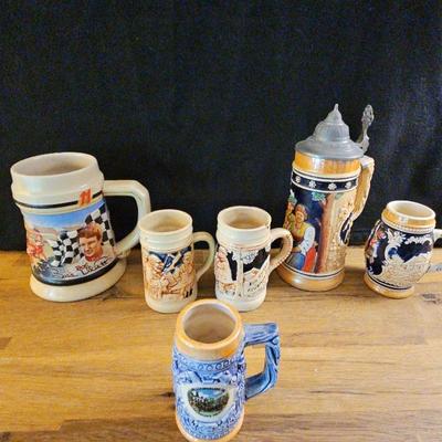 6 Assorted  Beer Steins From Various  Makers