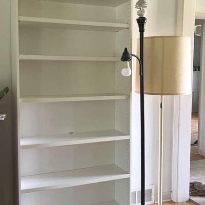 Bookcase with Floor Lamps