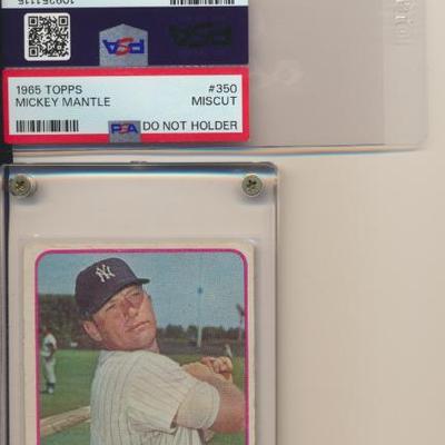 Sale Photo Thumbnail #38