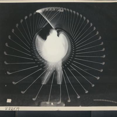 Sale Photo Thumbnail #75