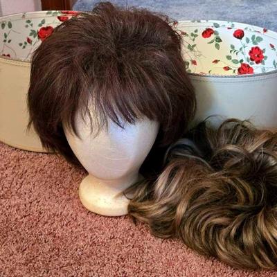 Wigs and Case