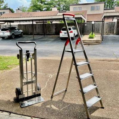 023-GAR: COSCO Hybrid Convertible Hand Truck & Hailo Stepladder