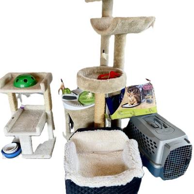 018-GAR: Cat Lot
