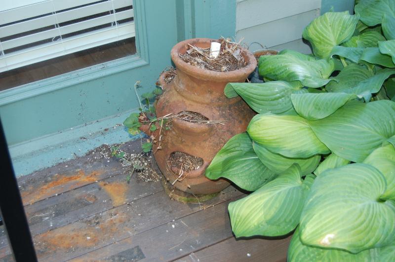 Sale Photo Thumbnail #41