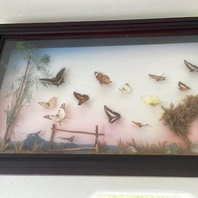 Sale Photo Thumbnail #815
