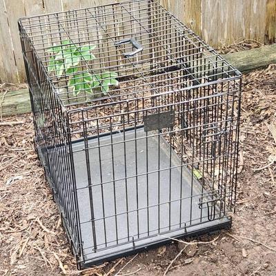 Dog Crate
