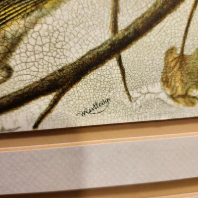 Sale Photo Thumbnail #229