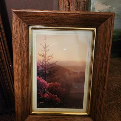Sale Photo Thumbnail #88
