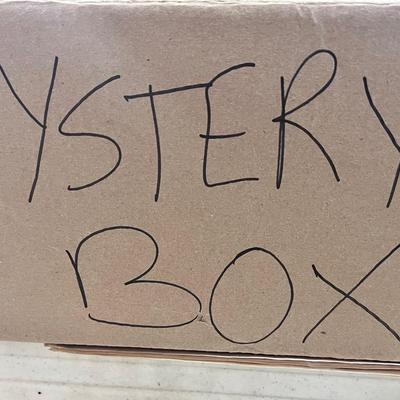 Mystery Box Lot