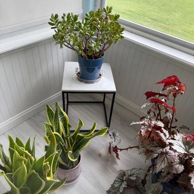 Sale Photo Thumbnail #324