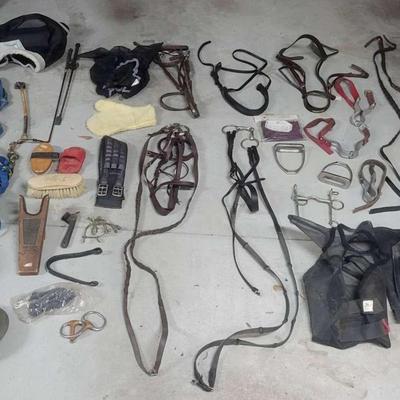 Horse & Rider Equipment 