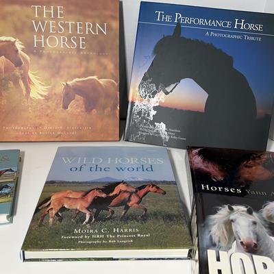 All About Horses Books