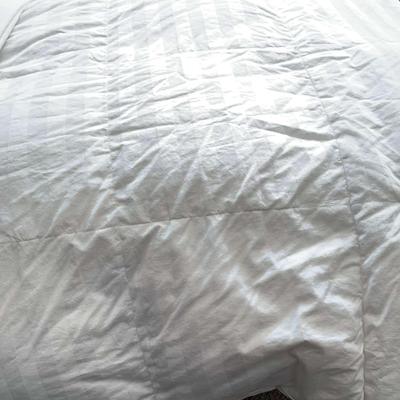 Ralph Lauren Duvet & White Sheet