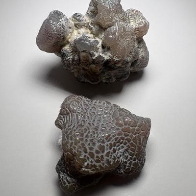 SnakeSkin Agate Free Form Specimen