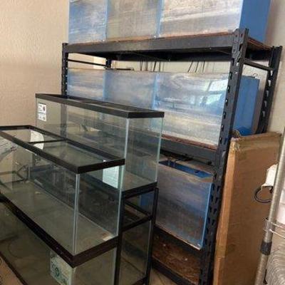 #3006 • 15 Fish Tanks
