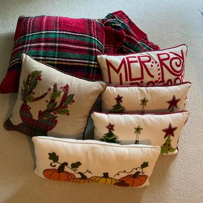 Pier 1 And More Holiday Throw Pillows