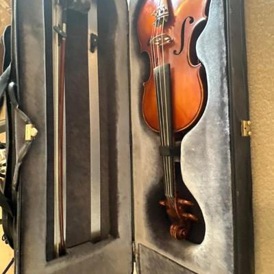 Violins