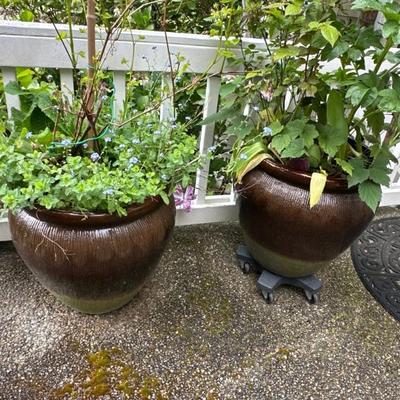 Various pots