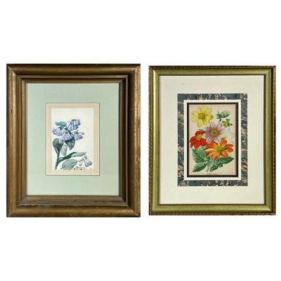 (2pc) FLORAL ARTWORKS | Including: Study of Blue-bells by Inez D. Spooner. Watercolor; 6,75 x 4.5 in. Sight. Signed on bottom, labeled on...
