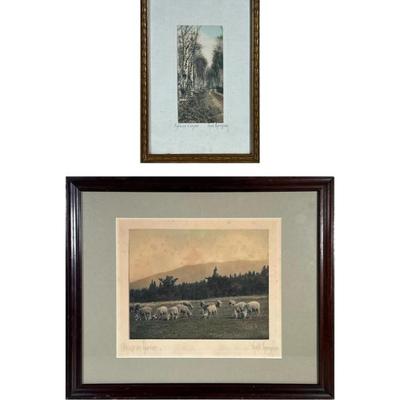 (2pc) FRED THOMPSON ANTIQUE PHOTOGRAPHS | Set of 2 Fred Thompson antique photographs including sheep & nature photo. 9 x 11 in sight...