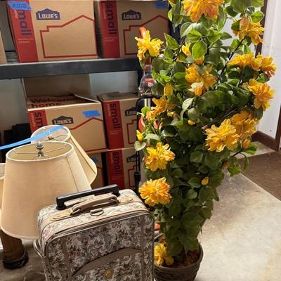 Suitcase And Flower Plant