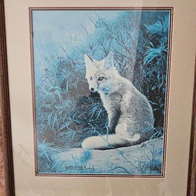 Resting Fox